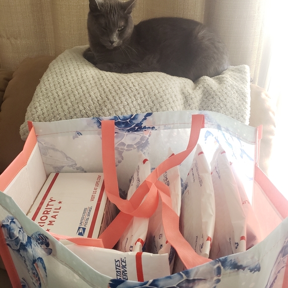 Meet your Posher, Chazzy 💚 - Picture 6 of 9